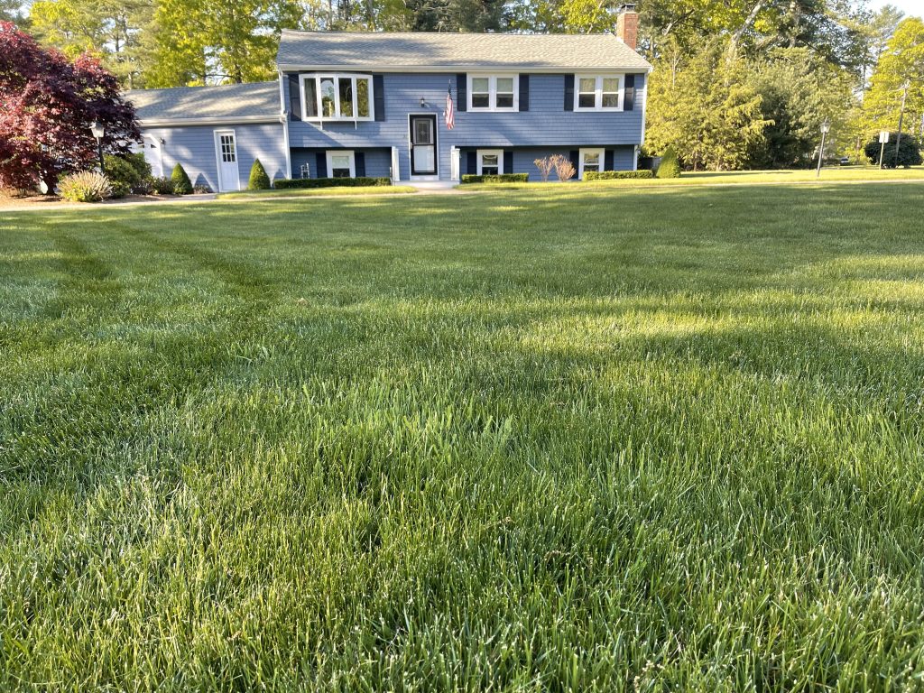 Landscaping in Middleboro, MA