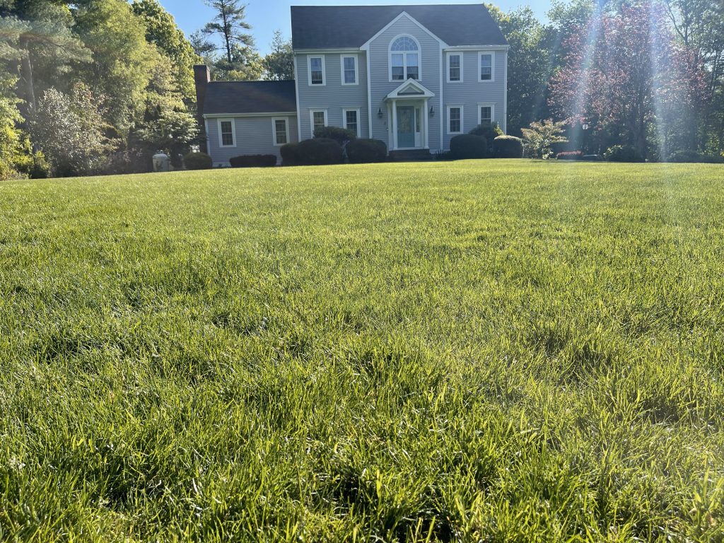 Landscaping in Middleboro, MA