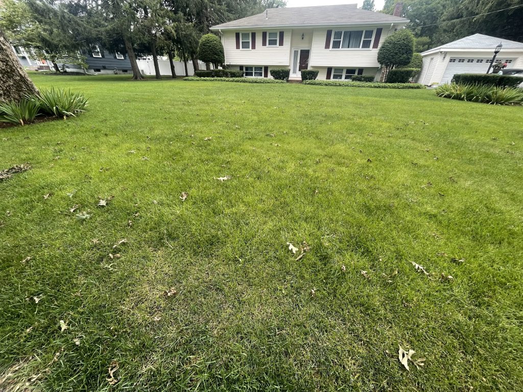 Landscaping in Middleboro, MA