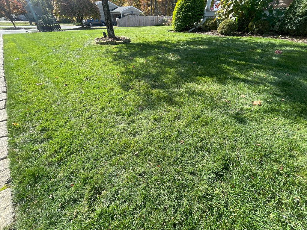 Landscaping in Middleboro, MA